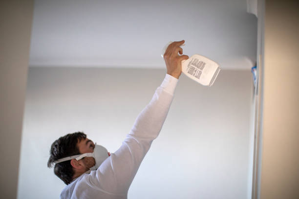 Best Mold Testing and Removal  in South Holland, IL