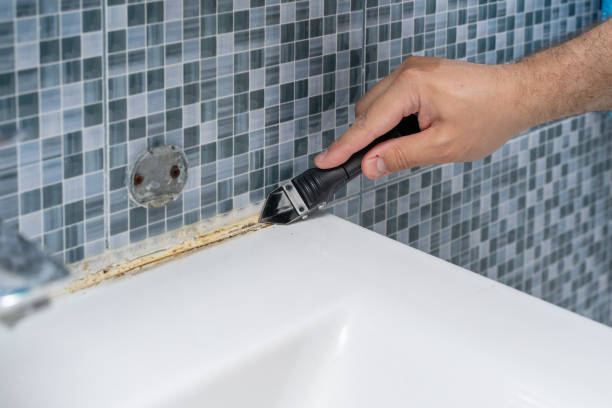 Best Same-Day Mold Removal  in South Holland, IL